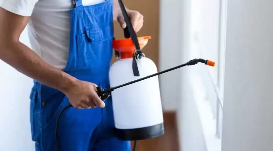 pest control worker holding a pesticide