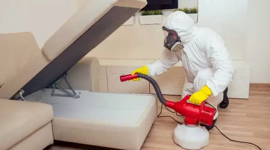 pest control worker disinfecting a sofa insect exterminator