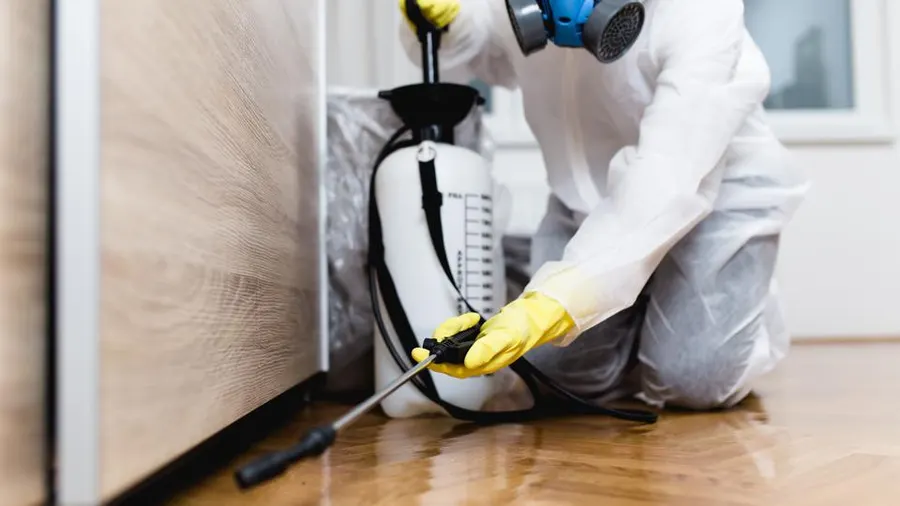 pest control worker spraying under a cabinet